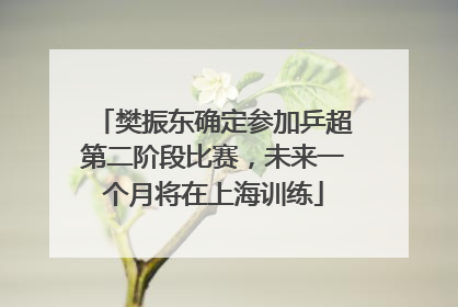 樊振东确定参加乒超第二阶段比赛，未来一个月将在上海训练